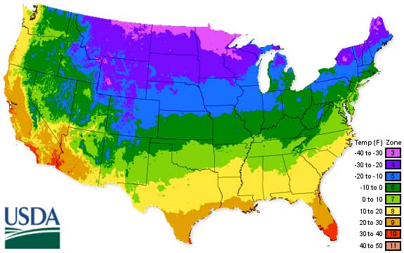 Department Of Agriculture Plant Hardiness Zones Garlic Planting Chart Shows When To Plant Garlic In Your Climate