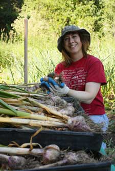 Susan checks new garlic varieties