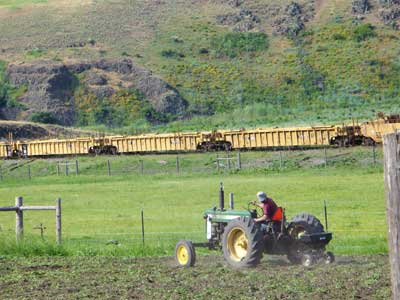 Plowing under and reseeding the fallow garlic field by Susan Fluegel at Grey Duck Garlic