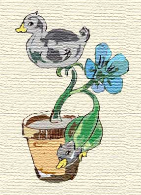 Find Out the Size Pot You Need for Container Gardening