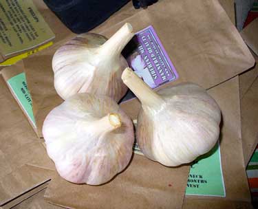 How to Store Garlic Bulbs for Long Keeping Time - Grey Duck Garlic